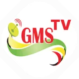 GMS FM 89.3 Ziguinchor logo