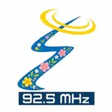 Estelar Fm logo