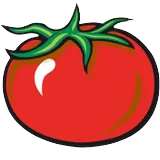 1029 Hot Tomato logo