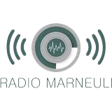 Marneuli FM logo