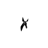 Radio Okapi logo