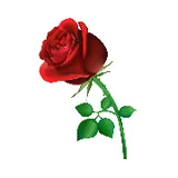 Boleros Inolvidables (FMLima) logo