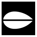 Radio Wnet logo