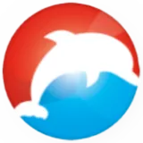 Dolfijn FM Classic 80's 90's logo